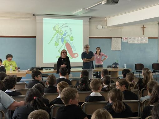 I bambini delle classi quinte di Gattinara a scuola di prevenzione contro le zanzare