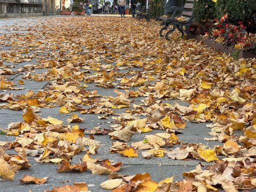 Varallo, l’Allea nel degrado: cresce il malcontento per la scarsa cura degli spazi pubblici