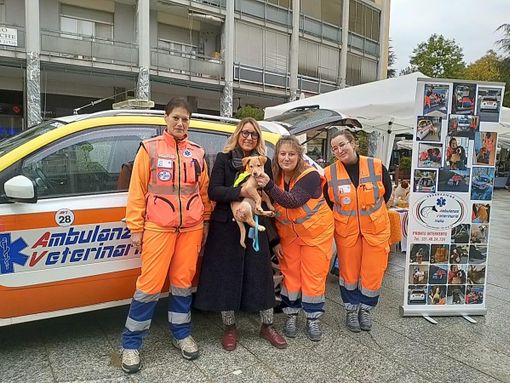 Borgosesia e Ambulanze Veterinarie Italia: primo anno di convenzione archiviato con numeri e interventi Borgosesia e Ambulanze Veterinarie Italia: primo anno di convenzione archiviato con numeri e interventi
