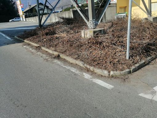 Borgosesia più pulita grazie ai "giri domenicali" del sindaco Borgosesia più pulita grazie ai "giri domenicali" del sindaco