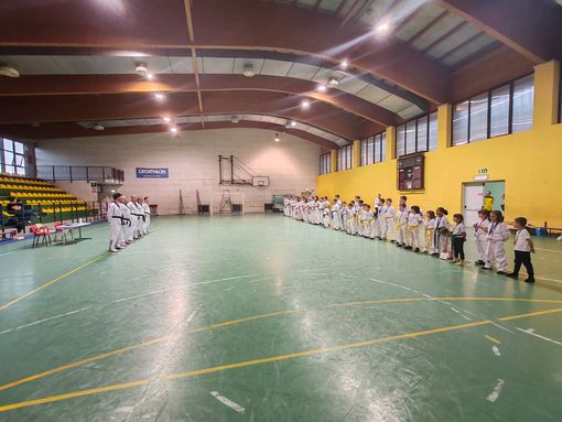 Taekwondo Gattinara: sport, passione e formazione per i giovani atleti