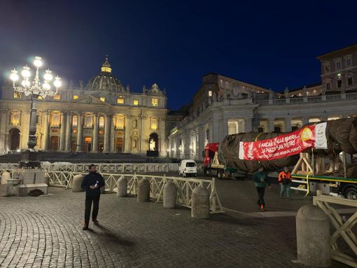 Domani l'accensione dell'albero a Roma donato dal Piemonte a Papa Francesco Domani l'accensione dell'albero a Roma donato dal Piemonte a Papa Francesco