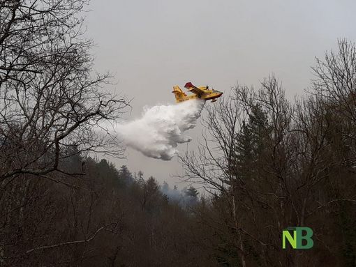 Canadair in azione sull'Artogna Canadair in azione sull'Artogna