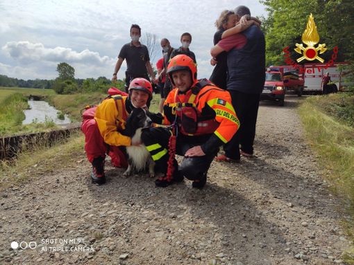Cane incastrato in uno scolo dell'acqua sotterraneo salvato dai Vigili del Fuoco.