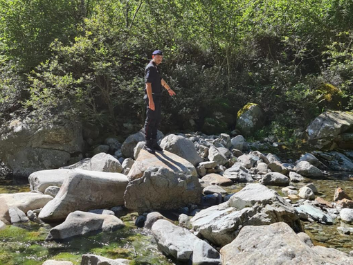 In una protesi la chiave del giallo di Postua: Potrebbe essere di un agricoltore di Coggiola scomparso sei anni fa In una protesi la chiave del giallo di Postua: Potrebbe essere di un agricoltore di Coggiola scomparso sei anni fa