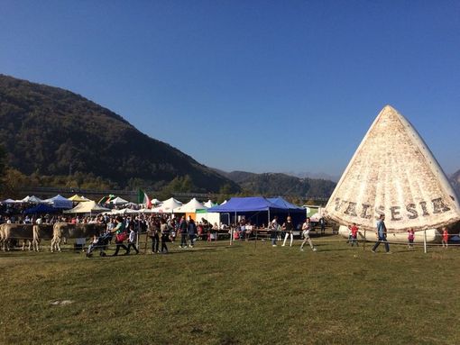 Foto della scorsa edizione