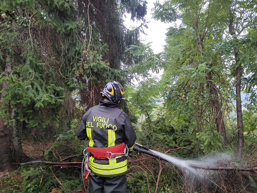 Paura a Pray, un fulmine colpisce in pieno un pino vicino alla chiesa di Flecchia