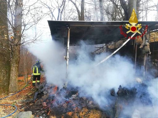 Valduggia: Stalla a fuoco, tempestivo intervento dei Vigili del Fuoco Valduggia: Stalla a fuoco, tempestivo intervento dei Vigili del Fuoco