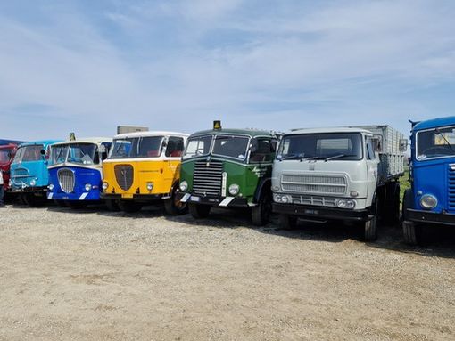 Collezione Marazzato, una festa per gli appassionati del marchio Alfa Romeo. Al porte aperte oltre 500 i visitatori Collezione Marazzato, una festa per gli appassionati del marchio Alfa Romeo. Al porte aperte oltre 500 i visitatori