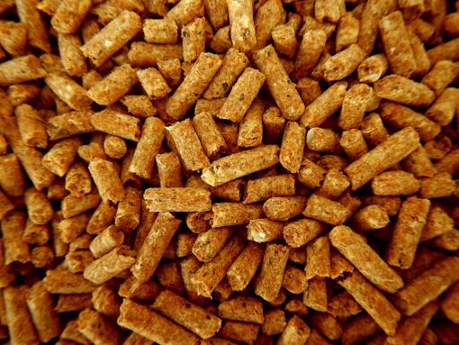 Valdilana, da Tecno Flam l’offerta per il prestagionale del pellet Valdilana, da Tecno Flam l’offerta per il prestagionale del pellet