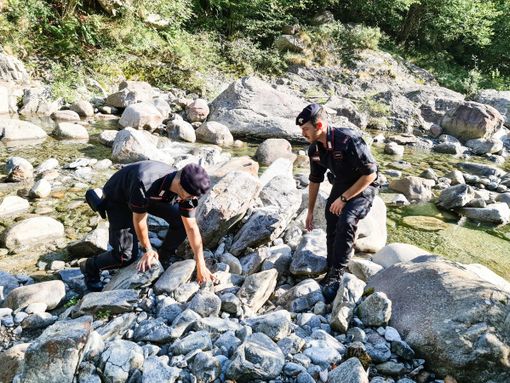 Giallo di Postua, ritrovate solo ossa animali FOTO - VIDEO