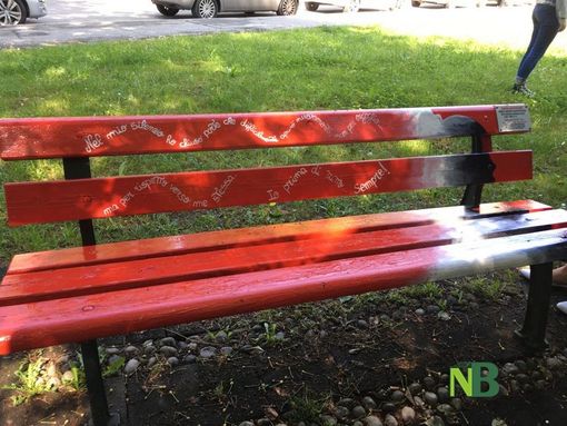 Portula dice No alla violenza sulle donne, una panchina rossa sorgerà in piazza (foto di repertorio)