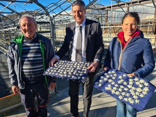 Regione, dal Piemonte stelle alpine per il papa. Icardi esprime riconoscenza: “Messaggio di forte impatto ecologico”. Regione, dal Piemonte stelle alpine per il papa. Icardi esprime riconoscenza: “Messaggio di forte impatto ecologico”.