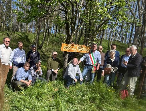 Varallo in Fiore, due giorni dedicati alle morchelle tra Parone, Quarona e Villa Virginia Varallo in Fiore, due giorni dedicati alle morchelle tra Parone, Quarona e Villa Virginia