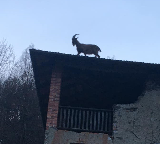 Foto di Soizic Kaufmann