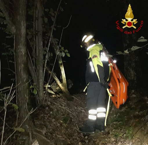 Anziano si infortuna nei boschi, soccorso dai Vigili del Fuoco Anziano si infortuna nei boschi, soccorso dai Vigili del Fuoco