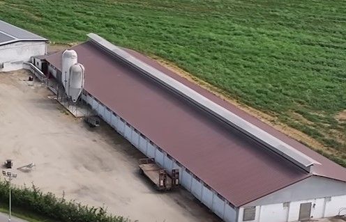 Dal Nord OvestScatta la seconda fase di contenimento della peste suina nel novarese