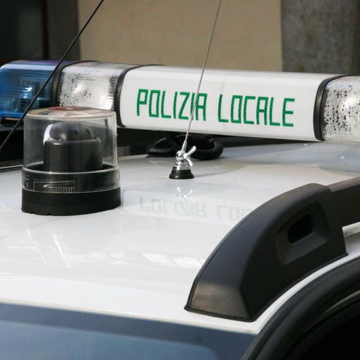Dal nord ovest. Macabro ritrovamento a Cameri: sacchi con resti di animali mutilati