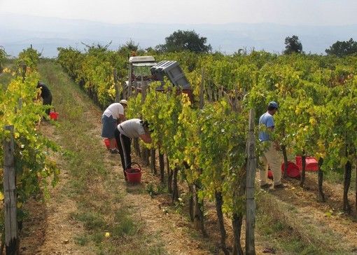 Domani dovrebbe essere firmata l'ordinanza per vietare il lavoro nelle ore più calde all'aperto