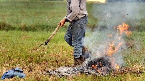 Abbruciamenti in bosco, Uncem: &quot;Bene le modifiche depositate in Consiglio regionale&quot;