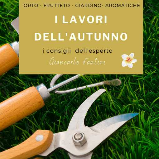 Grignasco: Scopri i segreti dell'orto, del frutteto e del giardino con Giancarlo Fantini: