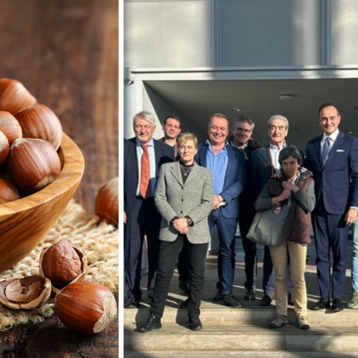 Il Piemonte protegge l'eccellenza: 750.000 euro per il rilancio della nocciola IGP