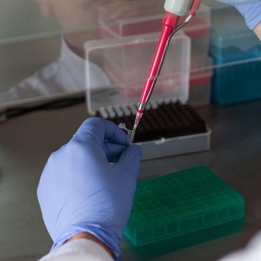 1° dicembre giornata mondiale contro AIDS: calo significativo del virus HIV in Piemonte