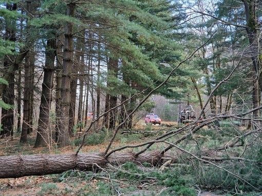 Arpa, in Piemonte raffiche di vento fino a 190 km/h in montagna.