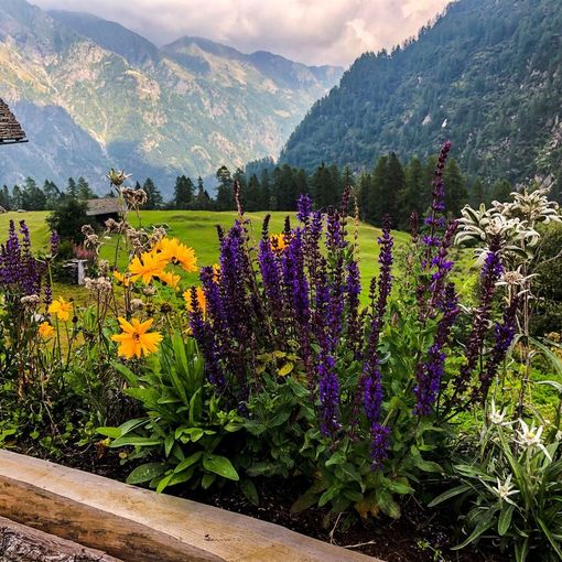 Un giorno ad Alagna