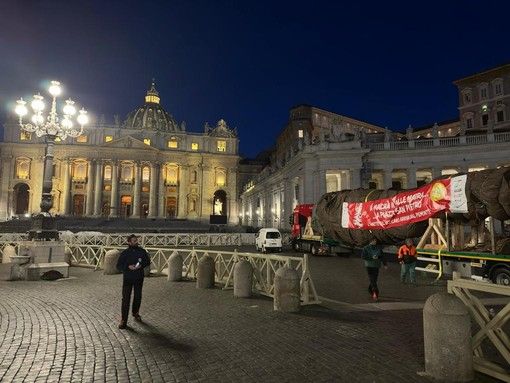 Domani l'accensione dell'albero a Roma donato dal Piemonte a Papa Francesco.