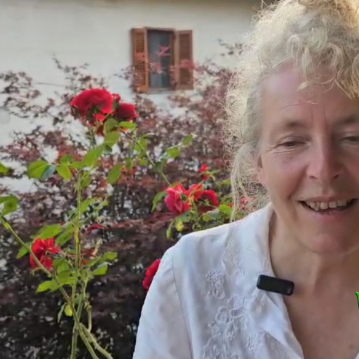 Caccia al tesoro botanica ed esperimenti con petali di fiori all'orto botanico di Guardabosone