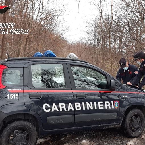 Borgosesia: Titolare di impresa edile denunciato per discarica abusiva di rifiuti speciali