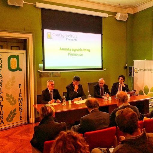 Incontro di verifica annata agraria 2019