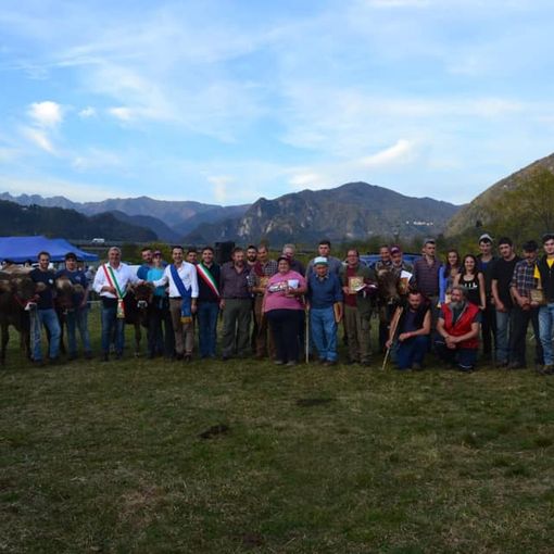 Un successo la fiera di Doccio del bestiame