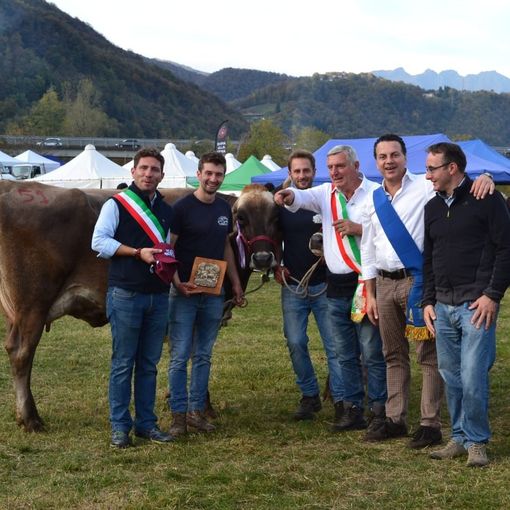 Foto e video di Mauro Benedetti