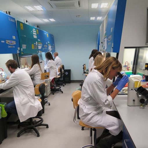 Da Candiolo scoperta rivoluzionaria per contrastare il cancro al Colon-Retto