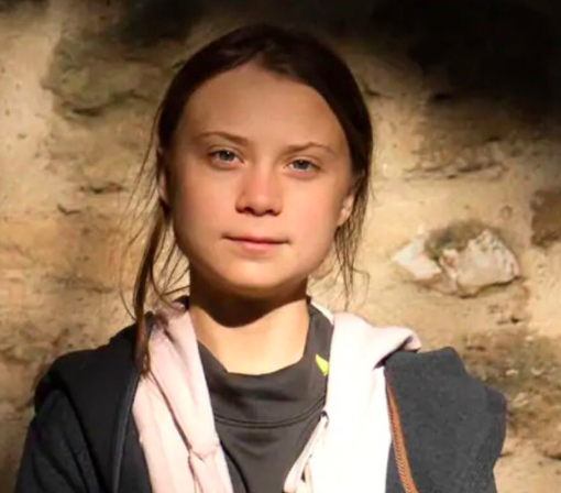 Greta Thunberg arriva a Torino: l'ambientalista svedese domani in piazza Castello