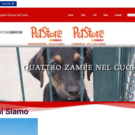 Gattinara, Il canile di Cascina Porta compie 20 anni. Per festeggiare, un libro, un nuovo sito web e nuovi partners!