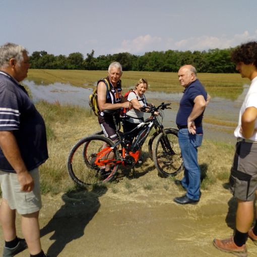 Un territorio da scoprire, gita in bicicletta tra risaie e vigneti