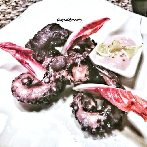 Ricetta: Polpo brasato al vino rosso con la sua maionese