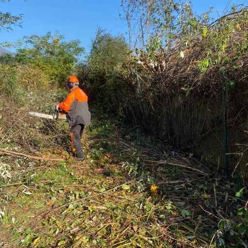 Borgosesia: Si pulisce il Sesia da Isolella ad Aranco a difesa del rione Isola