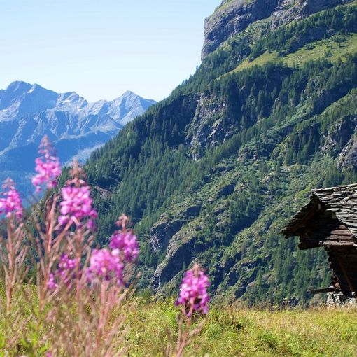 Alla scoperta della Val Grande