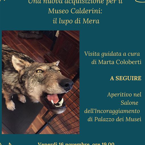 Varallo: Aperitivo con il curatore