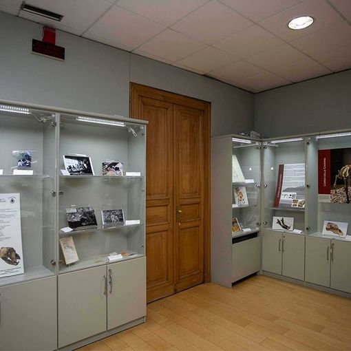 Sala interna al museo Conti