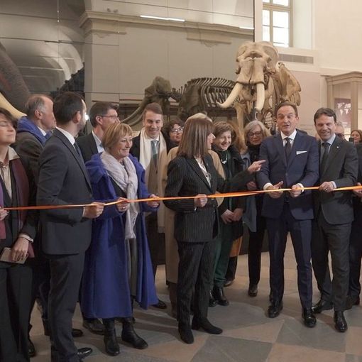 Cirio: &quot;Il Piemonte è ripartito&quot;. Taglio del nastro al Museo di Scienze naturali.