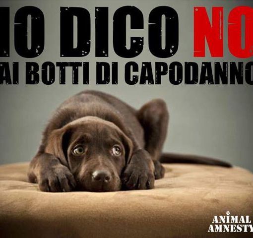 Appello a Borgosesia contro i botti a Capodanno