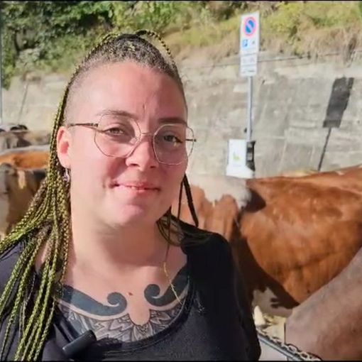 Alla Fiera di Rimella una storia sorprendente: da manager di multinazionale ad allevatrice in Valsesia. Video di Mauro Benedetti.