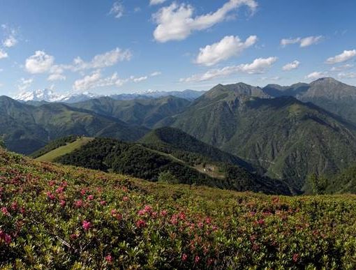 Più Bellezza in Valle: Aperta l'edizione 2021