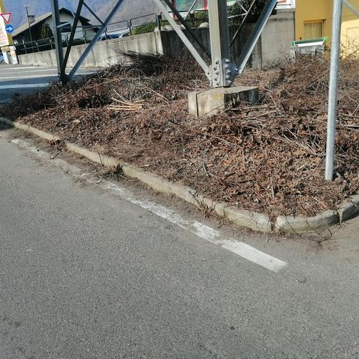 Borgosesia più pulita grazie ai &quot;giri domenicali&quot; del sindaco
