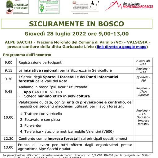 Sicuramente in bosco all'Alpe Sacchi  il 28 luglio